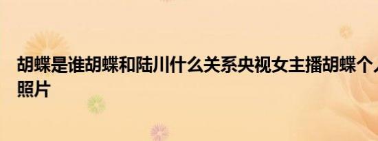 胡蝶是谁胡蝶和陆川什么关系央视女主播胡蝶个人资料简历照片