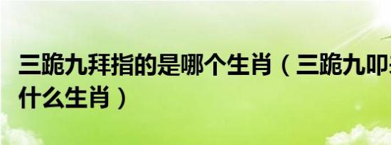 三跪九拜指的是哪个生肖（三跪九叩来拜佛是什么生肖）