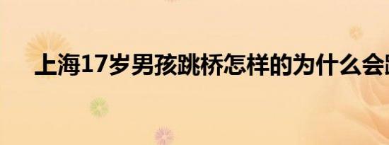 上海17岁男孩跳桥怎样的为什么会跳桥