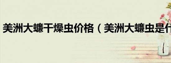 美洲大蠊干燥虫价格（美洲大蠊虫是什么虫）