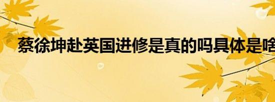 蔡徐坤赴英国进修是真的吗具体是啥情况