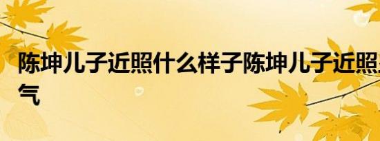 陈坤儿子近照什么样子陈坤儿子近照显阳光帅气