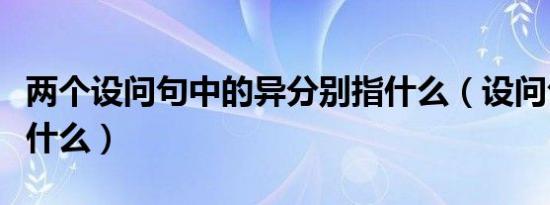 两个设问句中的异分别指什么（设问句指的是什么）