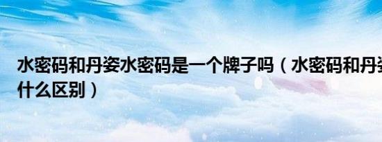 水密码和丹姿水密码是一个牌子吗（水密码和丹姿水密码有什么区别）