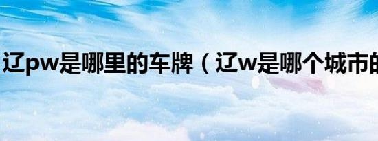 辽pw是哪里的车牌（辽w是哪个城市的车牌）