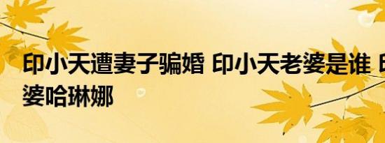 印小天遭妻子骗婚 印小天老婆是谁 印小天老婆哈琳娜