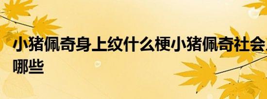小猪佩奇身上纹什么梗小猪佩奇社会人段子有哪些
