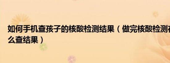 如何手机查孩子的核酸检测结果（做完核酸检测在手机上怎么查结果）