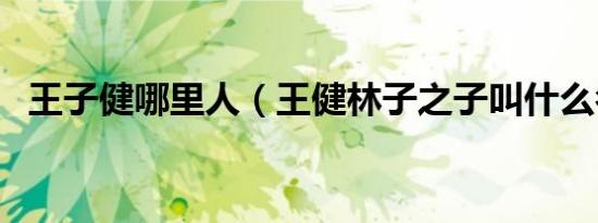 王子健哪里人（王健林子之子叫什么名字）