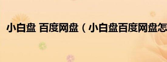 小白盘 百度网盘（小白盘百度网盘怎么用）
