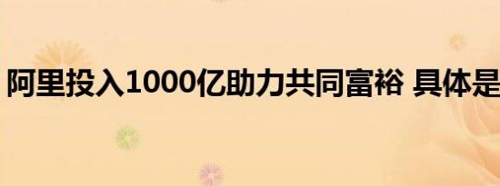阿里投入1000亿助力共同富裕 具体是啥情况
