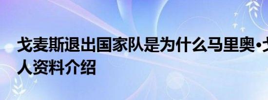 戈麦斯退出国家队是为什么马里奥·戈麦斯个人资料介绍