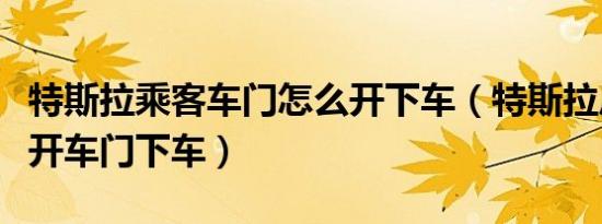 特斯拉乘客车门怎么开下车（特斯拉后座怎么开车门下车）