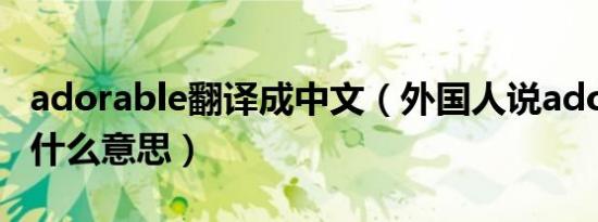 adorable翻译成中文（外国人说adorable是什么意思）