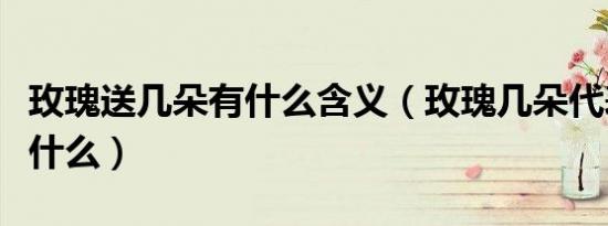 玫瑰送几朵有什么含义（玫瑰几朵代表含义是什么）