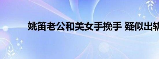 姚笛老公和美女手挽手 疑似出轨