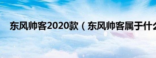东风帅客2020款（东风帅客属于什么车）