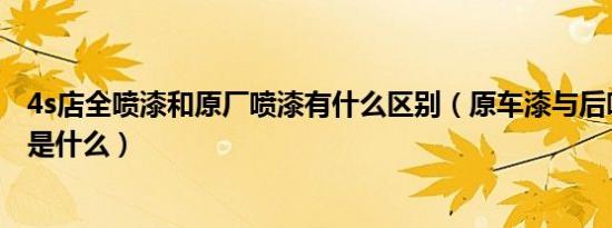 4s店全喷漆和原厂喷漆有什么区别（原车漆与后喷漆的区别是什么）