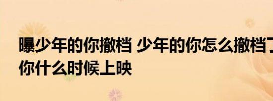 曝少年的你撤档 少年的你怎么撤档了少年的你什么时候上映