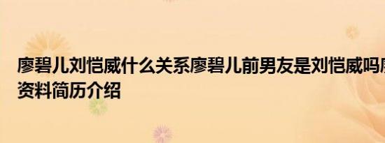 廖碧儿刘恺威什么关系廖碧儿前男友是刘恺威吗廖碧儿个人资料简历介绍
