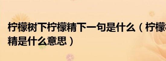 柠檬树下柠檬精下一句是什么（柠檬树下柠檬精是什么意思）