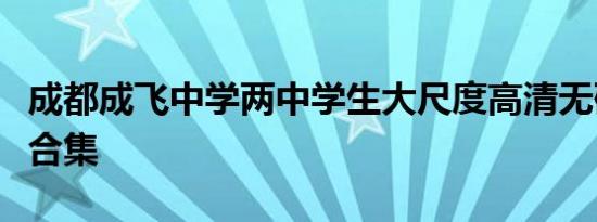 成都成飞中学两中学生大尺度高清无码不雅照合集