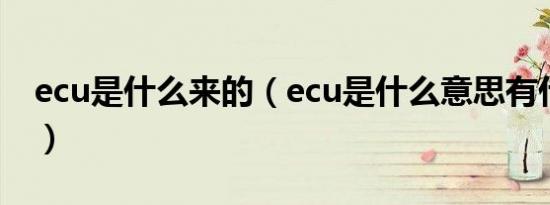 ecu是什么来的（ecu是什么意思有什么功能）