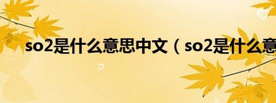 so2是什么意思中文（so2是什么意思）