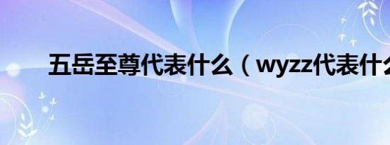 五岳至尊代表什么（wyzz代表什么）
