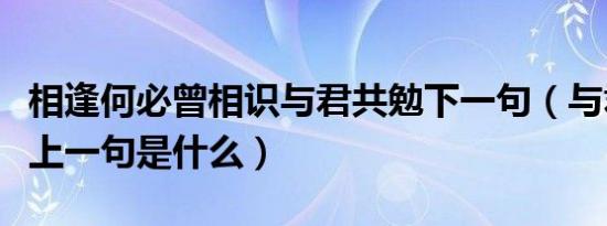 相逢何必曾相识与君共勉下一句（与君共勉之上一句是什么）