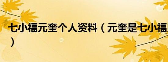 七小福元奎个人资料（元奎是七小福照成员么）