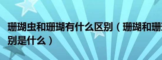 珊瑚虫和珊瑚有什么区别（珊瑚和珊瑚虫的区别是什么）
