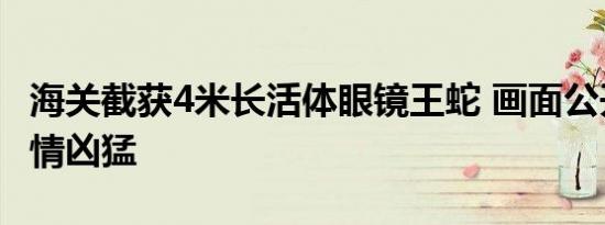 海关截获4米长活体眼镜王蛇 画面公开该蛇性情凶猛