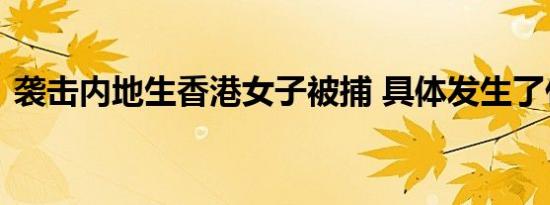 袭击内地生香港女子被捕 具体发生了什么事