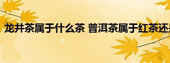 龙井茶属于什么茶 普洱茶属于红茶还是绿茶