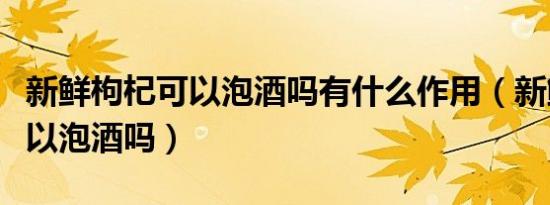 新鲜枸杞可以泡酒吗有什么作用（新鲜枸杞可以泡酒吗）