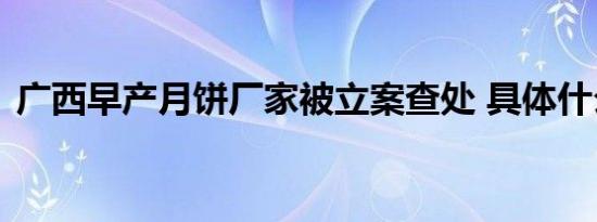 广西早产月饼厂家被立案查处 具体什么原因