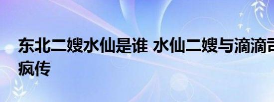 东北二嫂水仙是谁 水仙二嫂与滴滴司机视频疯传