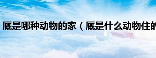 厩是哪种动物的家（厩是什么动物住的地方）