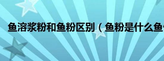 鱼溶浆粉和鱼粉区别（鱼粉是什么鱼做的）