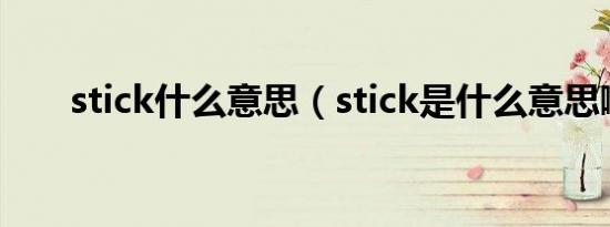stick什么意思（stick是什么意思啊）