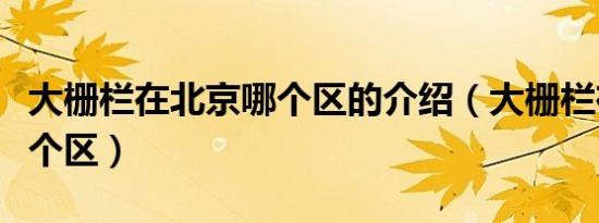 大栅栏在北京哪个区的介绍（大栅栏在北京哪个区）