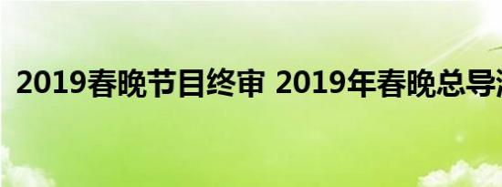 2019春晚节目终审 2019年春晚总导演是谁