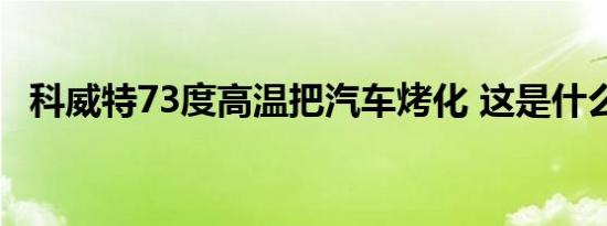 科威特73度高温把汽车烤化 这是什么概念