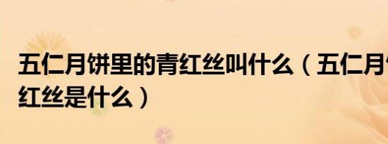 五仁月饼里的青红丝叫什么（五仁月饼里的青红丝是什么）