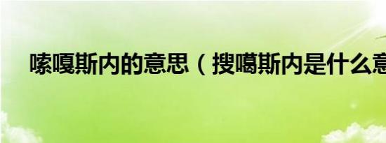 嗦嘎斯内的意思（搜噶斯内是什么意思）