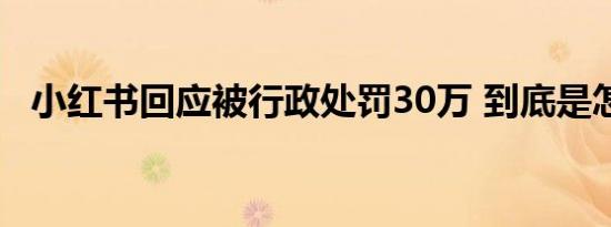 小红书回应被行政处罚30万 到底是怎样的