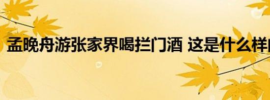 孟晚舟游张家界喝拦门酒 这是什么样的场景