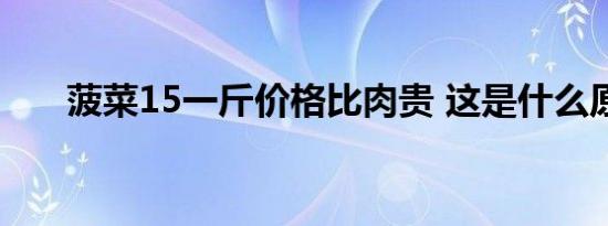 菠菜15一斤价格比肉贵 这是什么原因
