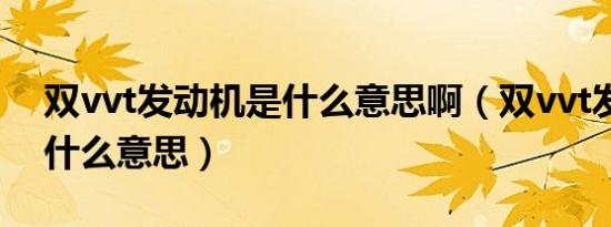 双vvt发动机是什么意思啊（双vvt发动机是什么意思）